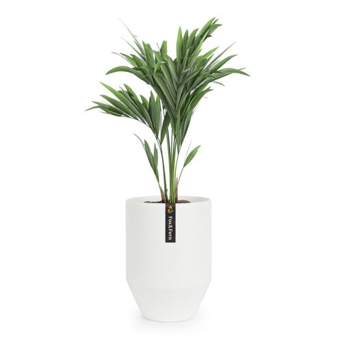 Fox & Fern Almere Kvetináč Polystone Ideálny pre rastliny