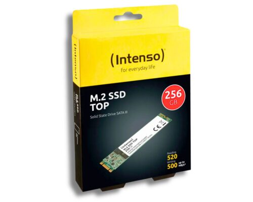 INTENSO TOP SSD 256 GB M.2 2280 SATA III interný disk