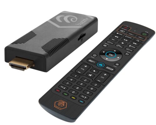 BuzzTV VidStick Max 128GB