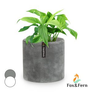 Fox & Fern Venlo